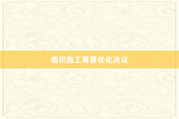 组织施工筹算优化决议